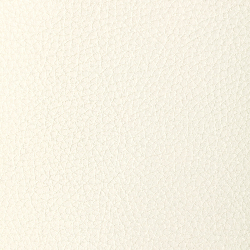 KRAVET DESIGN - L-TUCUM- BLANC - Fabric by the SQUARE FOOT BLANC