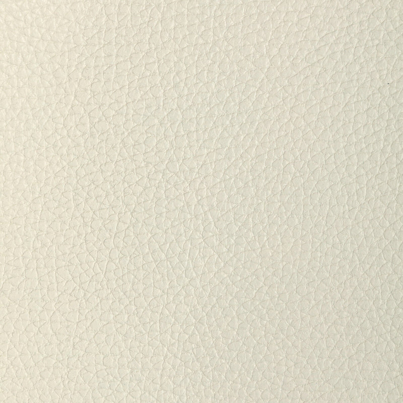 KRAVET DESIGN - L-TUCUM- OYSTER - Fabric by the SQUARE FOOT OYSTER