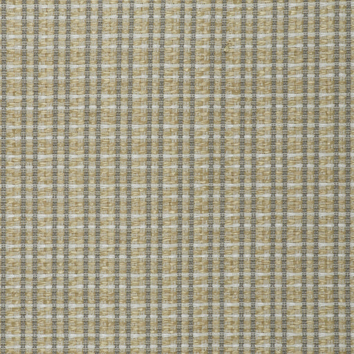 GASTON Y DANIELA - MAUREGATO- CRUDO - Fabric by the Yard CRUDO