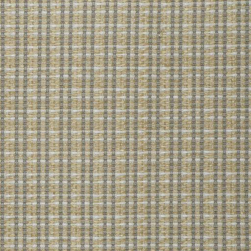 GASTON Y DANIELA - LCT1002 - MAUREGATO - Fabric By the Yard
