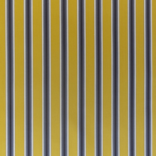 GASTON Y DANIELA - TRASTAMARA- OCRE - Fabric by the Yard OCRE