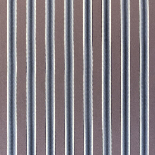 GASTON Y DANIELA - TRASTAMARA- MARRON - Fabric by the Yard MARRON