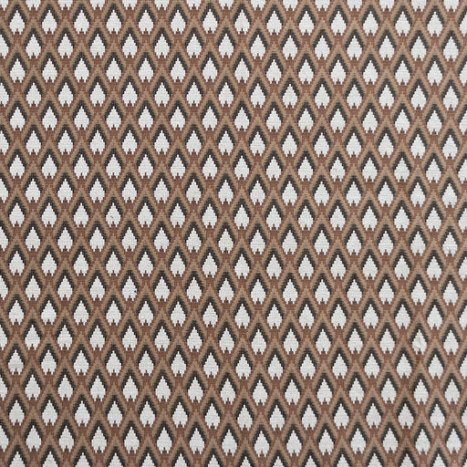 GASTON Y DANIELA - PERUYES- CHOCOLATE - Fabric by the Yard CHOCOLATE
