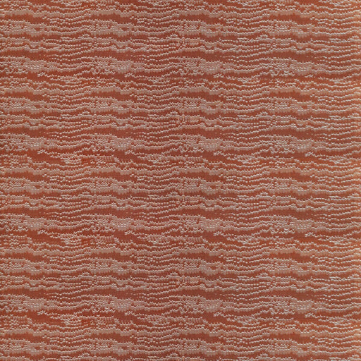 GASTON Y DANIELA - LCT1136 - EL SABIO - Fabric By the Yard