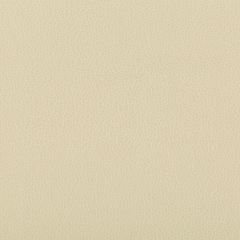 KRAVET CONTRACT - LENOX- PAPYRUS - Fabric by the Yard PAPYRUS