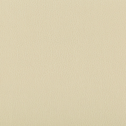 KRAVET CONTRACT - LENOX- PAPYRUS - Fabric by the Yard PAPYRUS