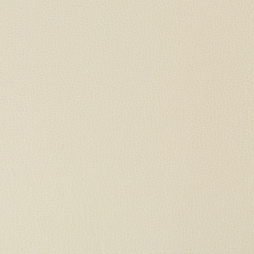 KRAVET CONTRACT - LENOX- STONE - Fabric by the Yard STONE
