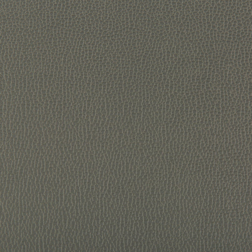 KRAVET CONTRACT - LENOX- SHADOW - Fabric by the Yard SHADOW