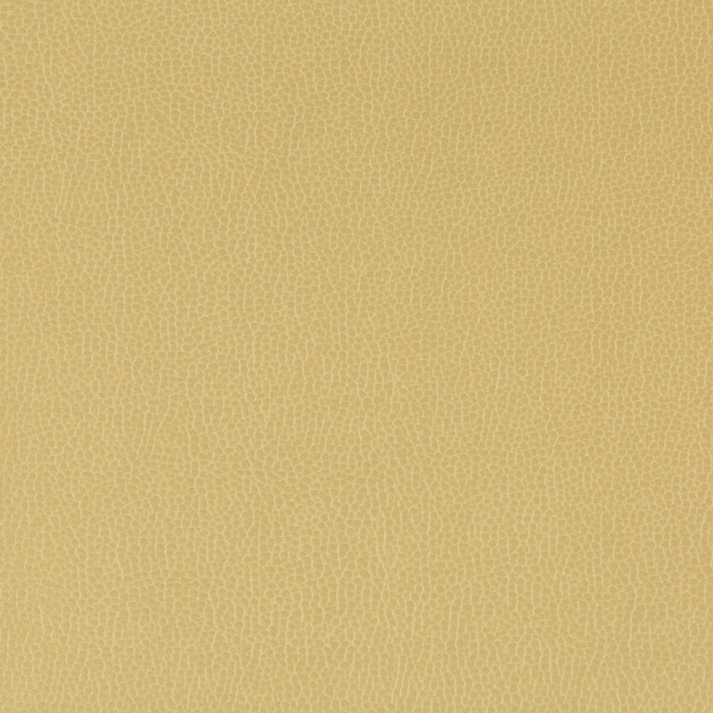 KRAVET CONTRACT - LENOX- SESAME - Fabric by the Yard SESAME