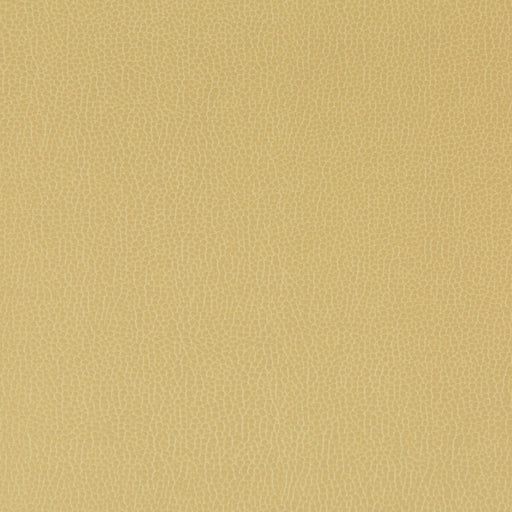 KRAVET CONTRACT - LENOX- SESAME - Fabric by the Yard SESAME