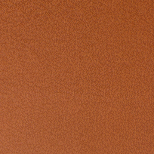 KRAVET CONTRACT - LENOX- CANYON - Fabric by the Yard CANYON