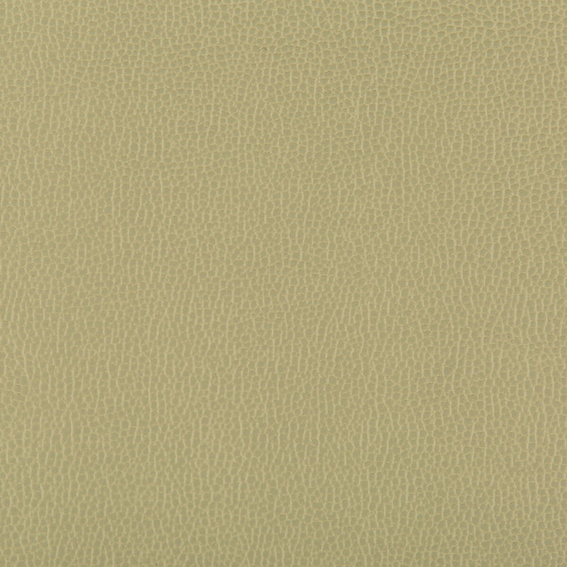 KRAVET CONTRACT - LENOX- SAGE - Fabric by the Yard SAGE