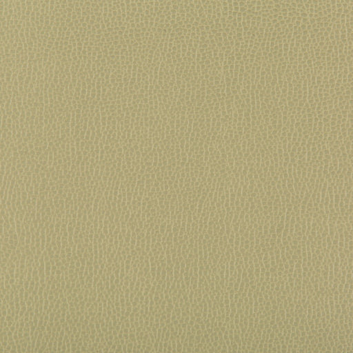 KRAVET CONTRACT - LENOX- SAGE - Fabric by the Yard SAGE