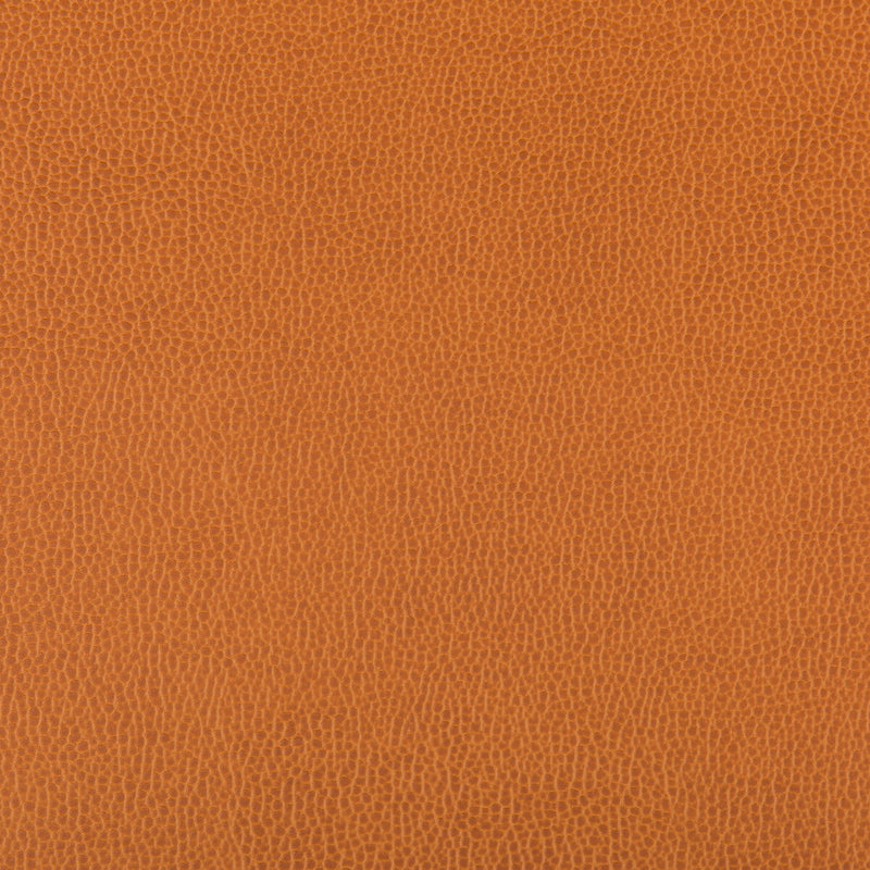 KRAVET CONTRACT - LENOX- MARMALADE - Fabric by the Yard MARMALADE
