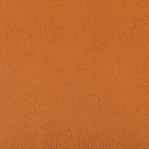KRAVET CONTRACT - LENOX- MARMALADE - Fabric by the Yard MARMALADE