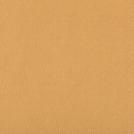 KRAVET CONTRACT - LENOX- CAMEL - Fabric by the Yard CAMEL