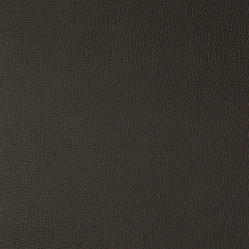 KRAVET CONTRACT - LENOX- JAVA - Fabric by the Yard JAVA