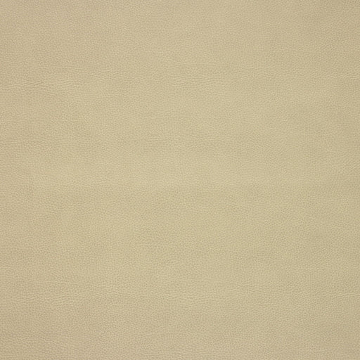 KRAVET DESIGN - KRAVET DESIGN- LORIS-106 - Fabric by the Yard LORIS-106
