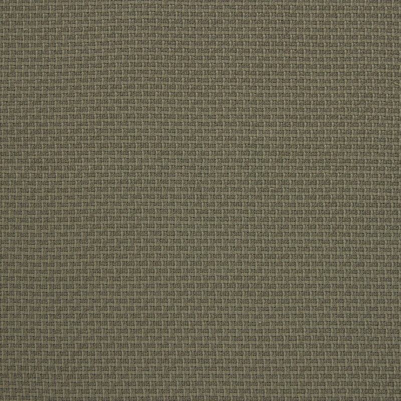KRAVET DESIGN - LEZNA- 01 - Fabric by the Yard 01