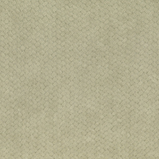 KRAVET DESIGN - CESTO- 03 - Wallcovering by the Roll 03