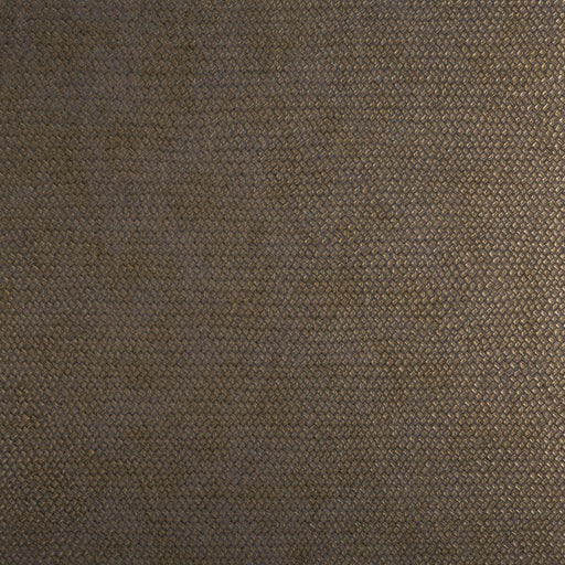 KRAVET DESIGN - CESTO- 21540 - Wallcovering by the Roll 21540