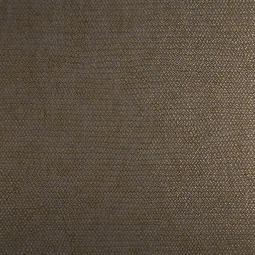 KRAVET DESIGN - CESTO- 21540 - Wallcovering by the Roll 21540