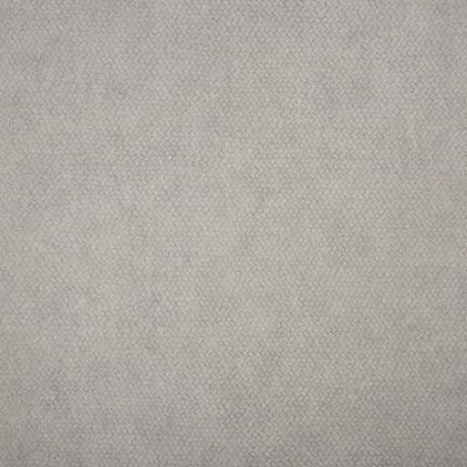 KRAVET DESIGN - CESTO- 21541 - Wallcovering by the Roll 21541