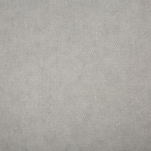 KRAVET DESIGN - CESTO- 21541 - Wallcovering by the Roll 21541