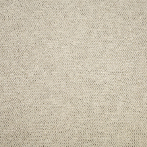 KRAVET DESIGN - CESTO- 21542 - Wallcovering by the Roll 21542