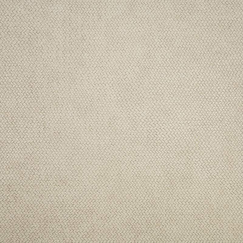 KRAVET DESIGN - CESTO- 21542 - Wallcovering by the Roll 21542