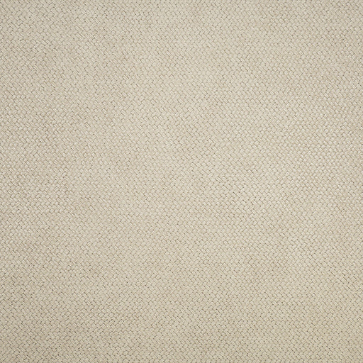 KRAVET DESIGN - CESTO- 21542 - Wallcovering by the Roll 21542