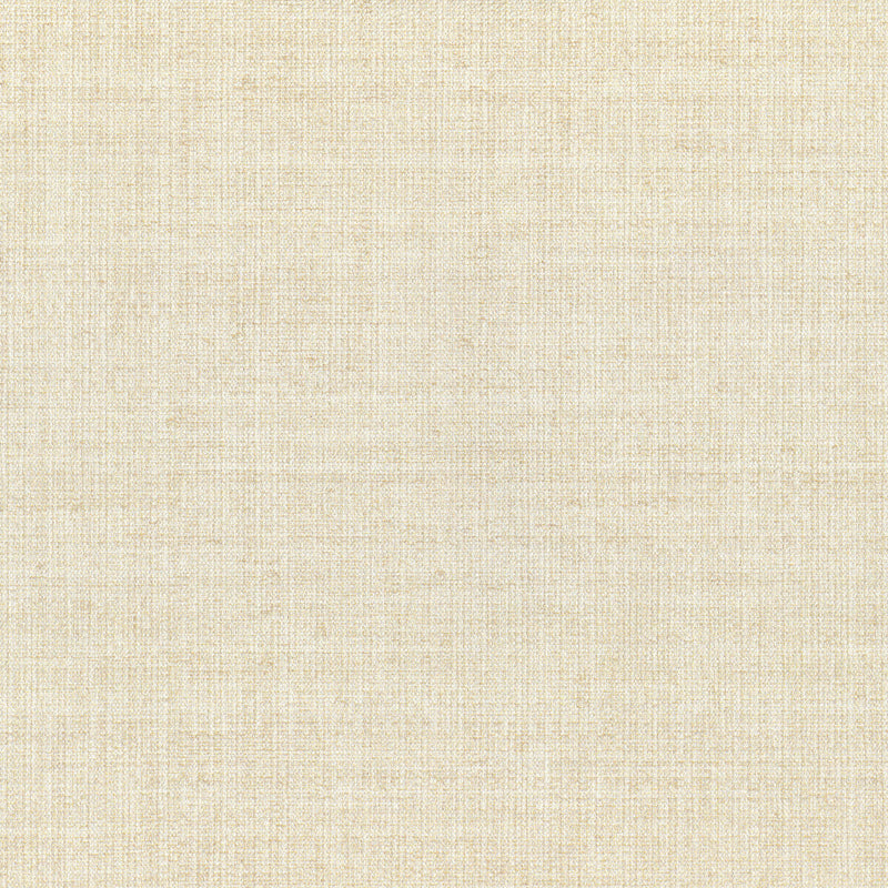 KRAVET DESIGN - ARAZZO- 06 - Wallcovering by the Roll 06
