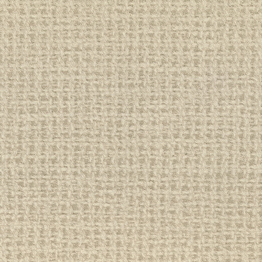 KRAVET DESIGN - TAPPETO- 06 - Wallcovering by the Roll 06