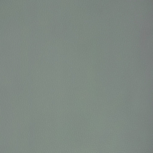 KRAVET DESIGN - KRAVET DESIGN - MAJOR-1115 - Fabric By The YARD