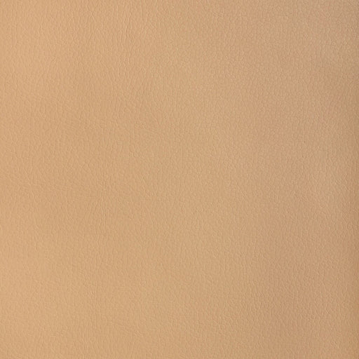 KRAVET DESIGN - KRAVET DESIGN - MAJOR-116 - Fabric By The YARD