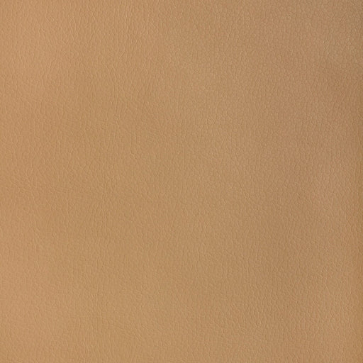 KRAVET DESIGN - KRAVET DESIGN - MAJOR-1616 - Fabric By The YARD