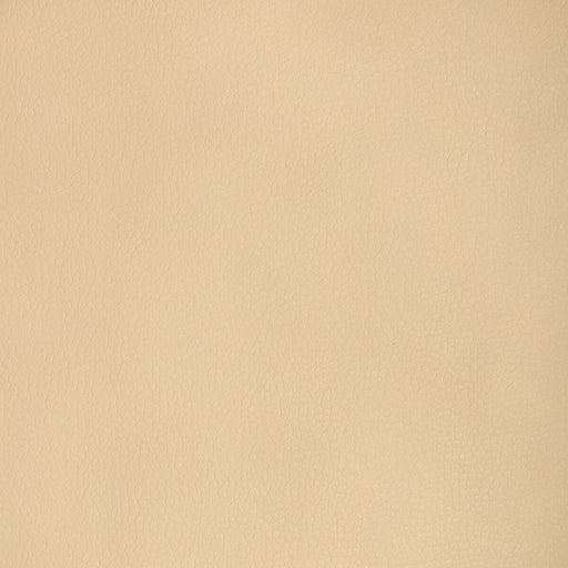 KRAVET DESIGN - KRAVET DESIGN - MAJOR-16 - Fabric By The YARD