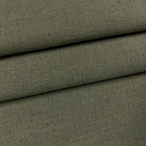 MARANA SPRUCE