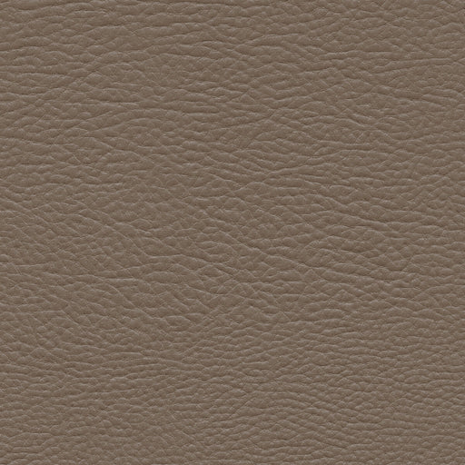 KRAVET DESIGN - KRAVET DESIGN- MASHAK-21 - Fabric by the Yard MASHAK-21
