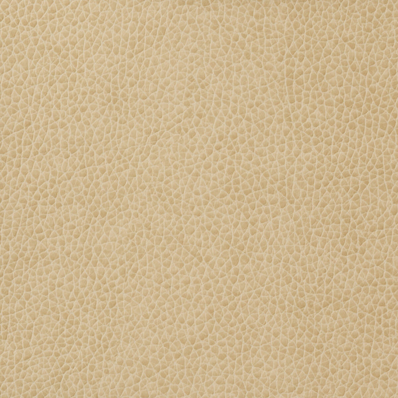 KRAVET BASICS - KRAVET BASICS- MATTER-1116 - Fabric by the Yard MATTER-1116