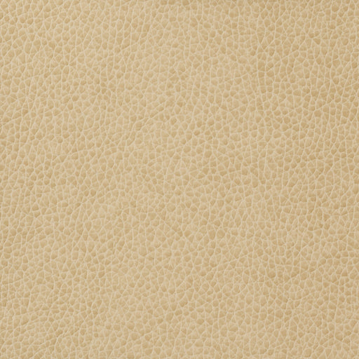 KRAVET BASICS - KRAVET BASICS- MATTER-1116 - Fabric by the Yard MATTER-1116