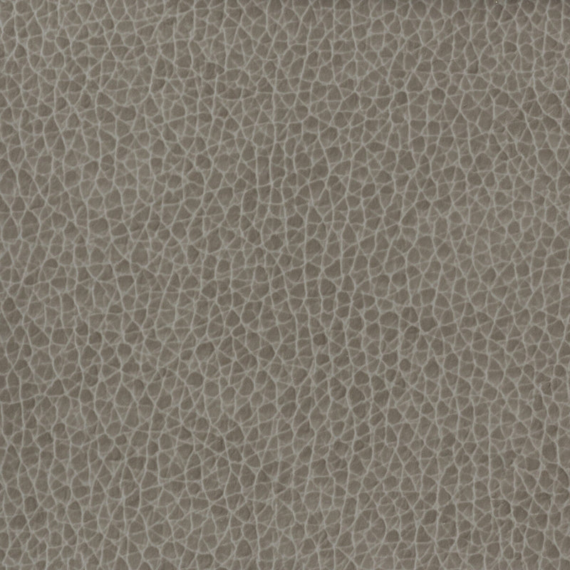 KRAVET BASICS - KRAVET BASICS- MATTER-1121 - Fabric by the Yard MATTER-1121