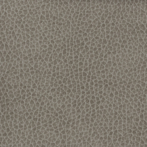 KRAVET BASICS - KRAVET BASICS- MATTER-1121 - Fabric by the Yard MATTER-1121