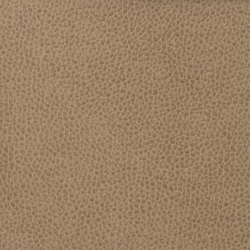 KRAVET BASICS - KRAVET BASICS- MATTER-1611 - Fabric by the Yard MATTER-1611