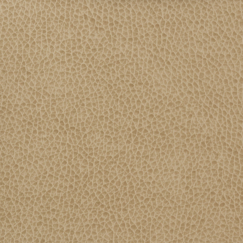 KRAVET BASICS - KRAVET BASICS- MATTER-1616 - Fabric by the Yard MATTER-1616