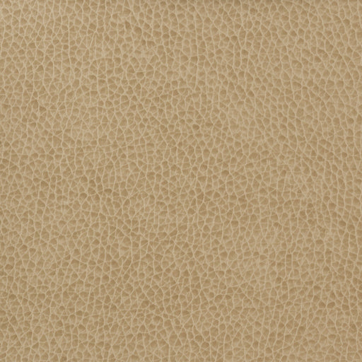 KRAVET BASICS - KRAVET BASICS- MATTER-1616 - Fabric by the Yard MATTER-1616