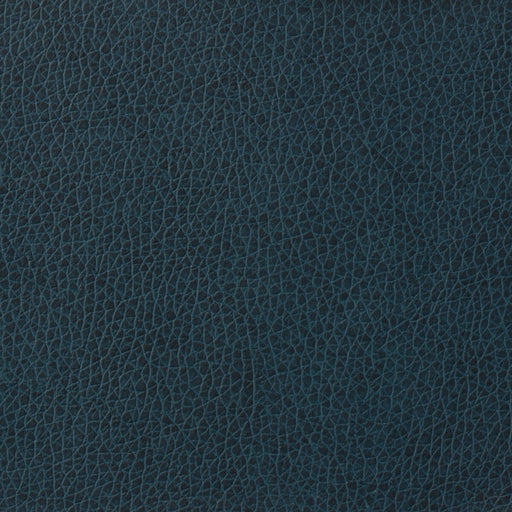 KRAVET BASICS - KRAVET BASICS- MATTER-5 - Fabric by the Yard MATTER-5