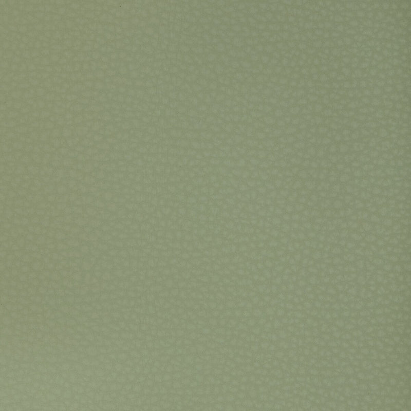 KRAVET DESIGN - KRAVET DESIGN - MEND-123 - Fabric By The YARD