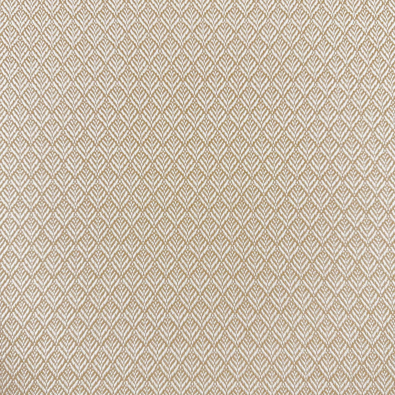 MIMUS - HONEY - Mag Fabrics - Fabric By The Yard