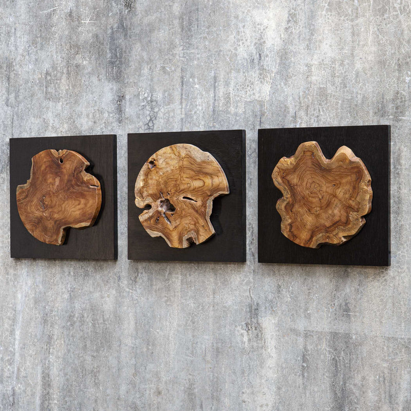 Uttermost Kolini Teak Wood Wall Decor Set/3